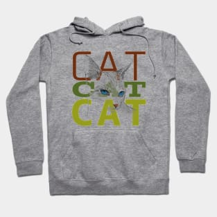 cat drawing Hoodie